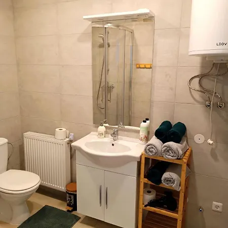 Apartment Tauchen With Kitchen