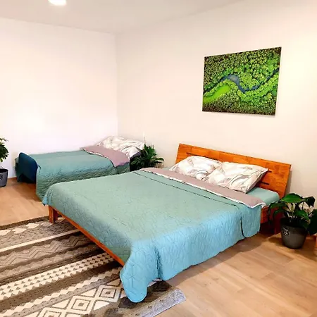 Apartment Tauchen With Kitchen *