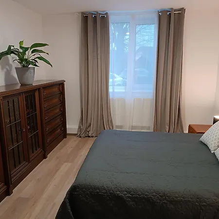 Apartment Tauchen With Kitchen