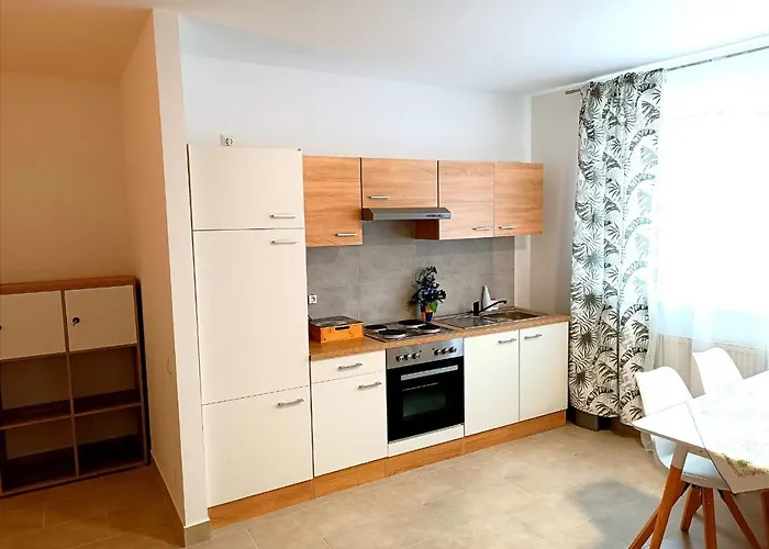 Tauchen With Kitchen 公寓 Mönichkirchen