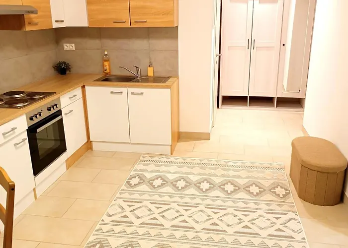 公寓 Tauchen With Kitchen Mönichkirchen